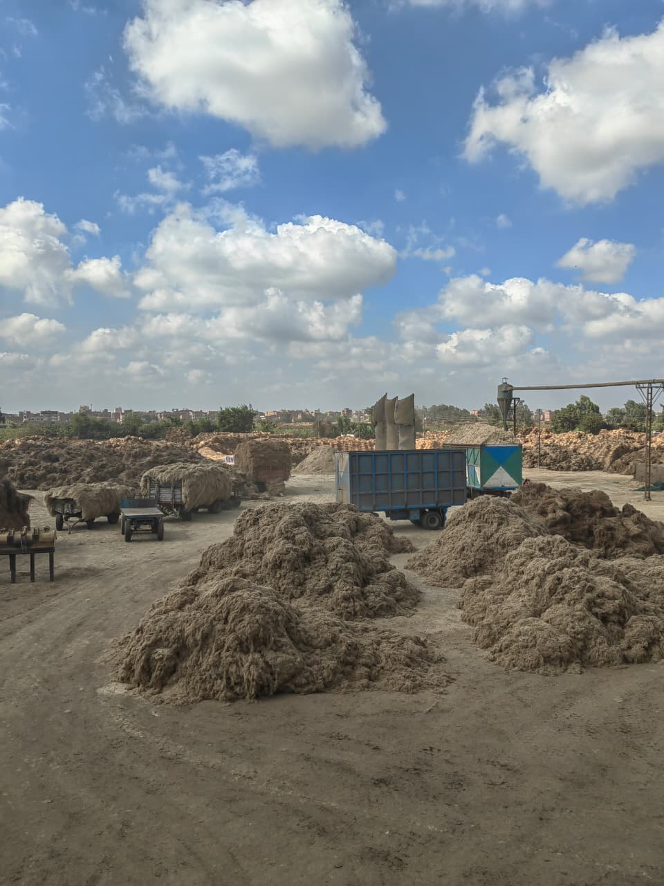 WhatsApp Image 2026-04-10 at 11.14.20 PM