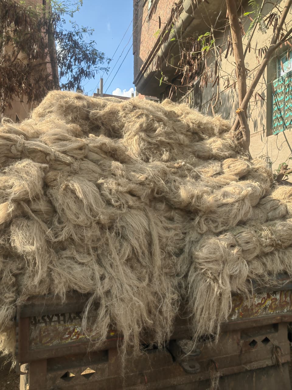 WhatsApp Image 2026-04-10 at 11.14.27 PM (1)