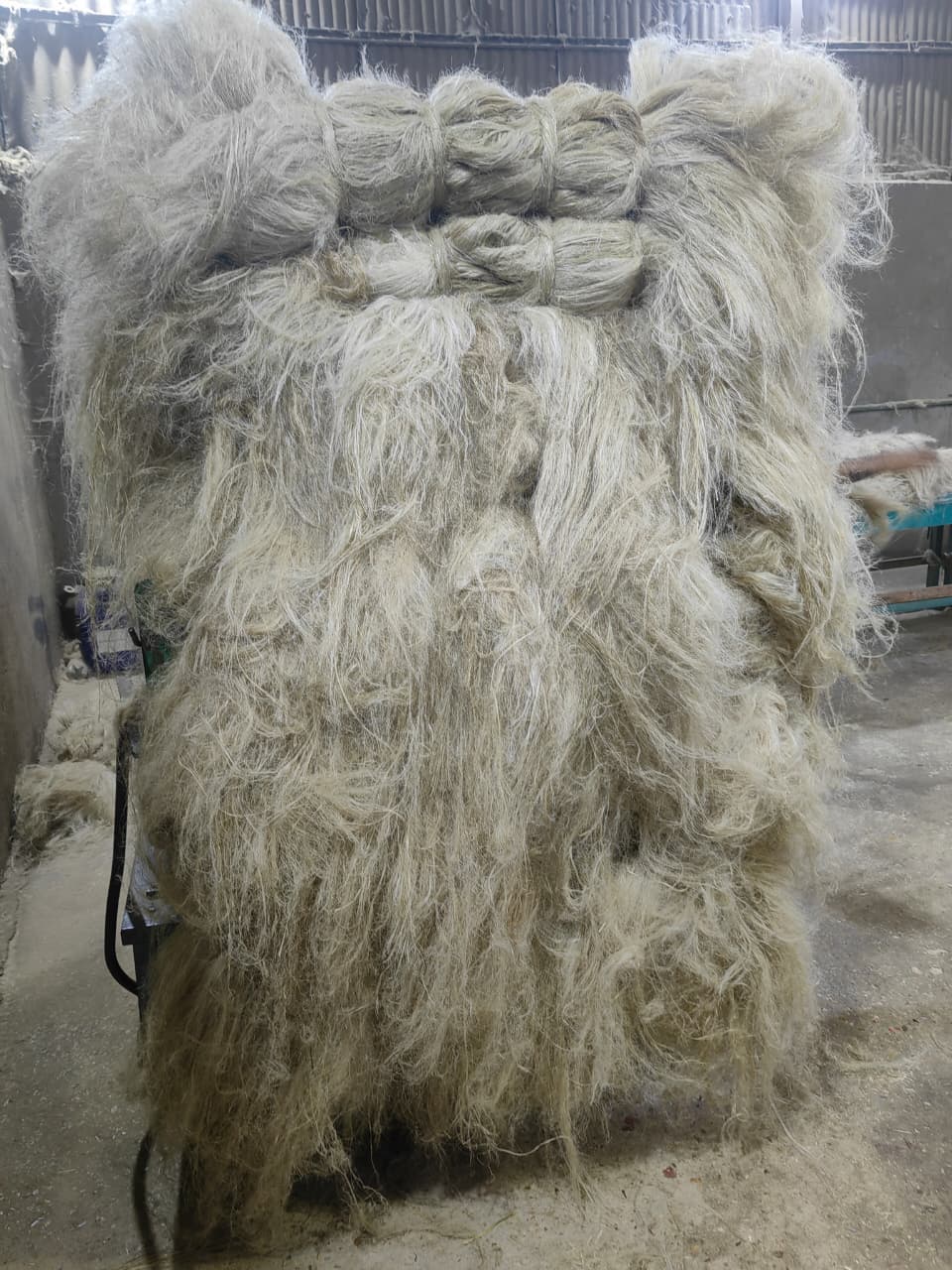 WhatsApp Image 2026-04-10 at 11.14.33 PM