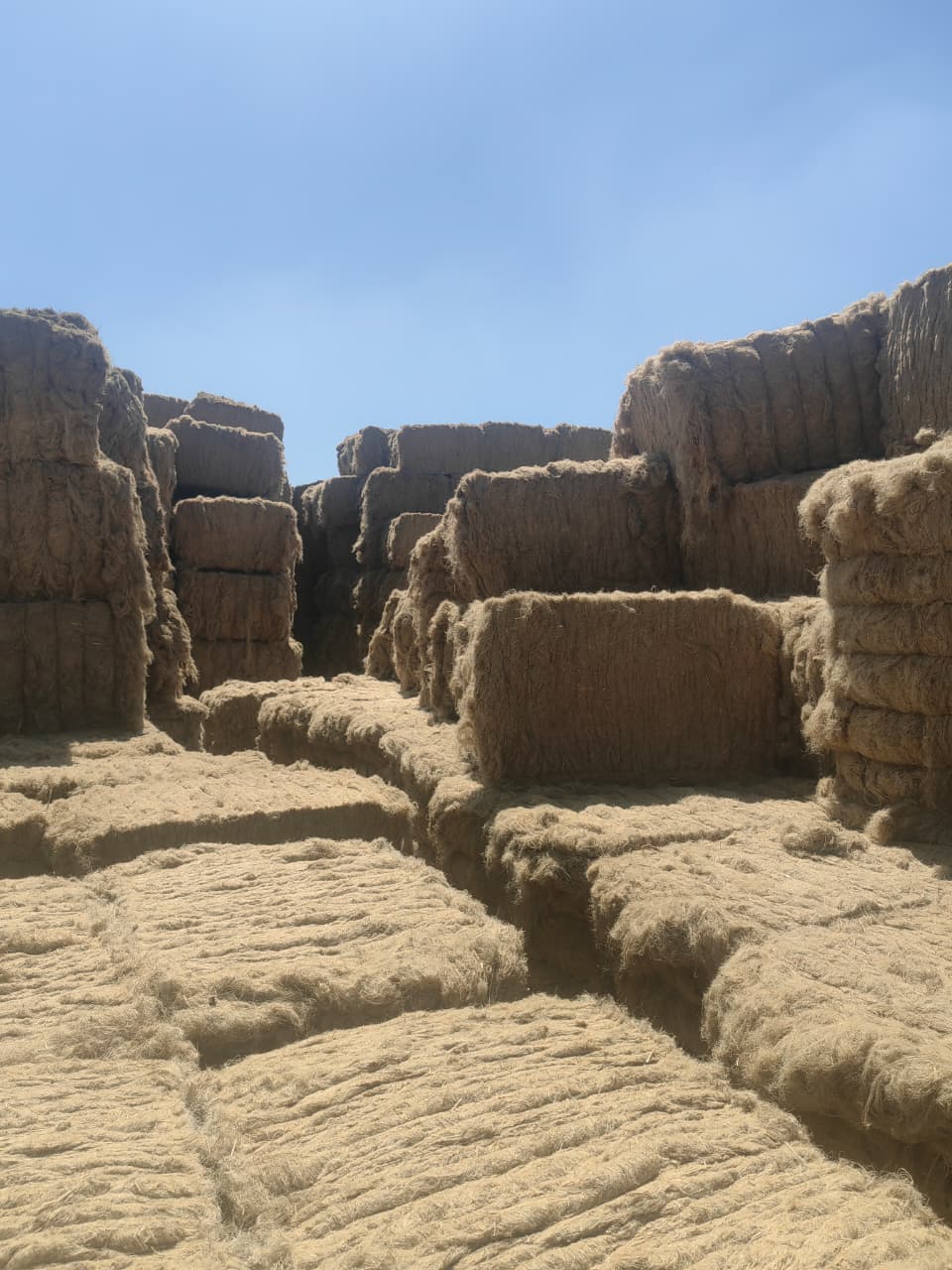 WhatsApp Image 2026-04-10 at 11.14.36 PM